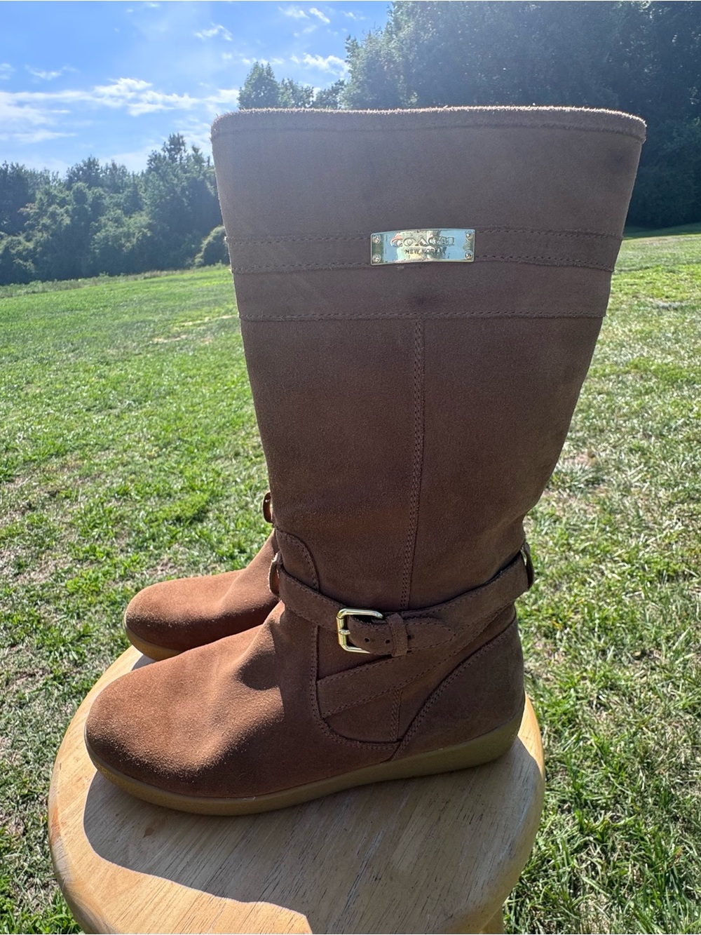 Ladies Coach Brown Suede Winter Boots with Gold Hardware